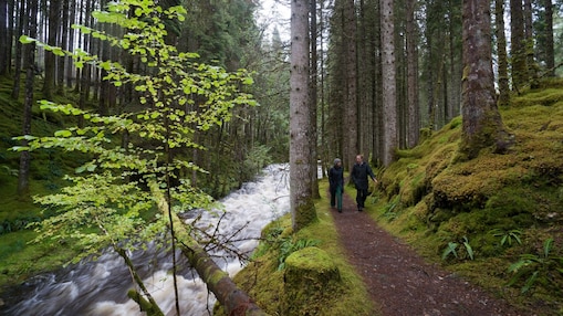 Un uomo e una donna camminano lungo le rapide in una foresta