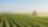Macchine agricole per la fertilizzazione delle coltivazioni