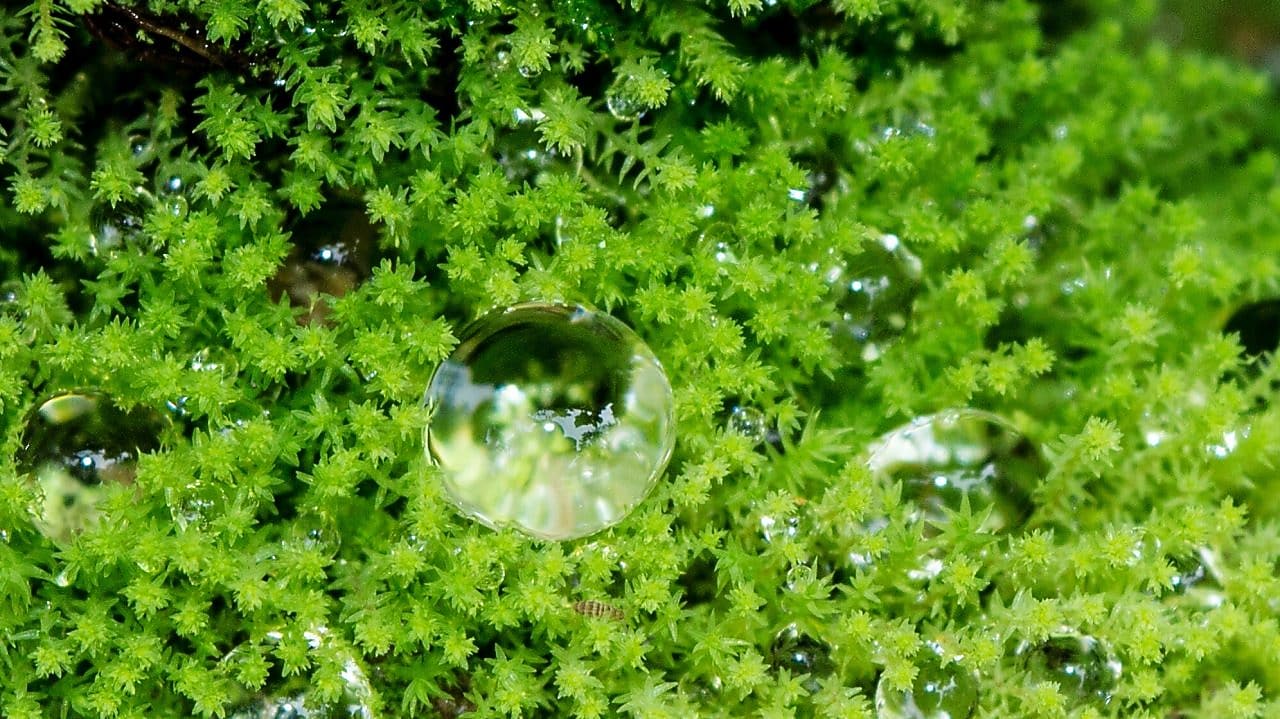 Clean Energy Solutions