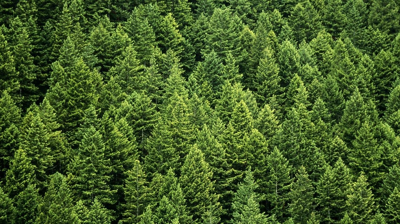 Shell Environmental Products