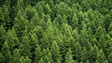 Shell Environmental Products